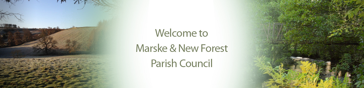 Header Image for Marske & New Forest Parish Council